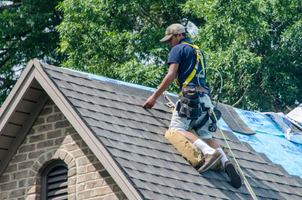Best Metal Roofing Contractor  in La Porte City, IA