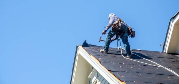 Best Roof Maintenance Services  in La Porte City, IA